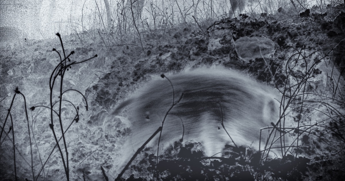 Viewing Small Animals and Other Biotech